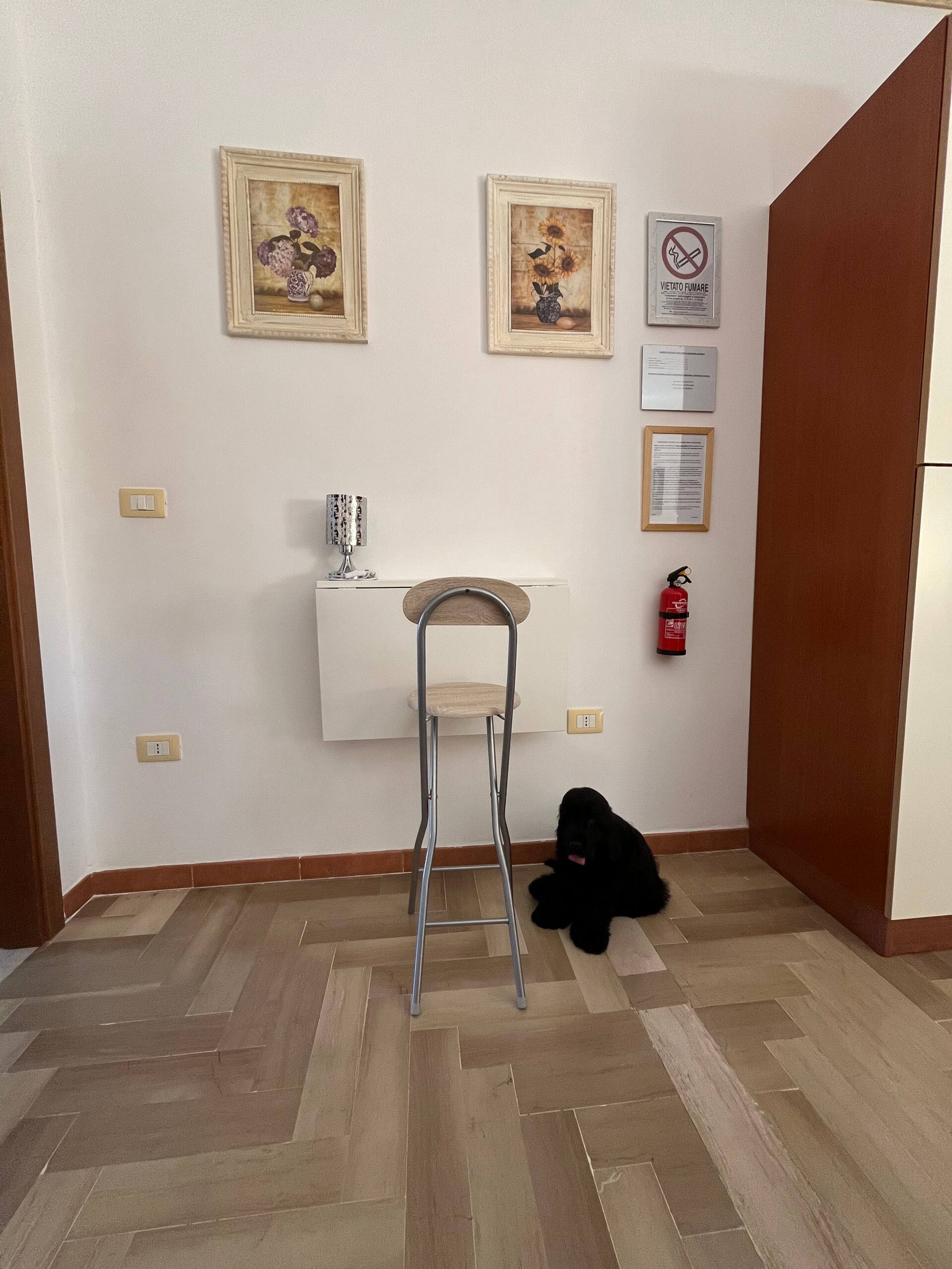 Magic Living Home — photo 5