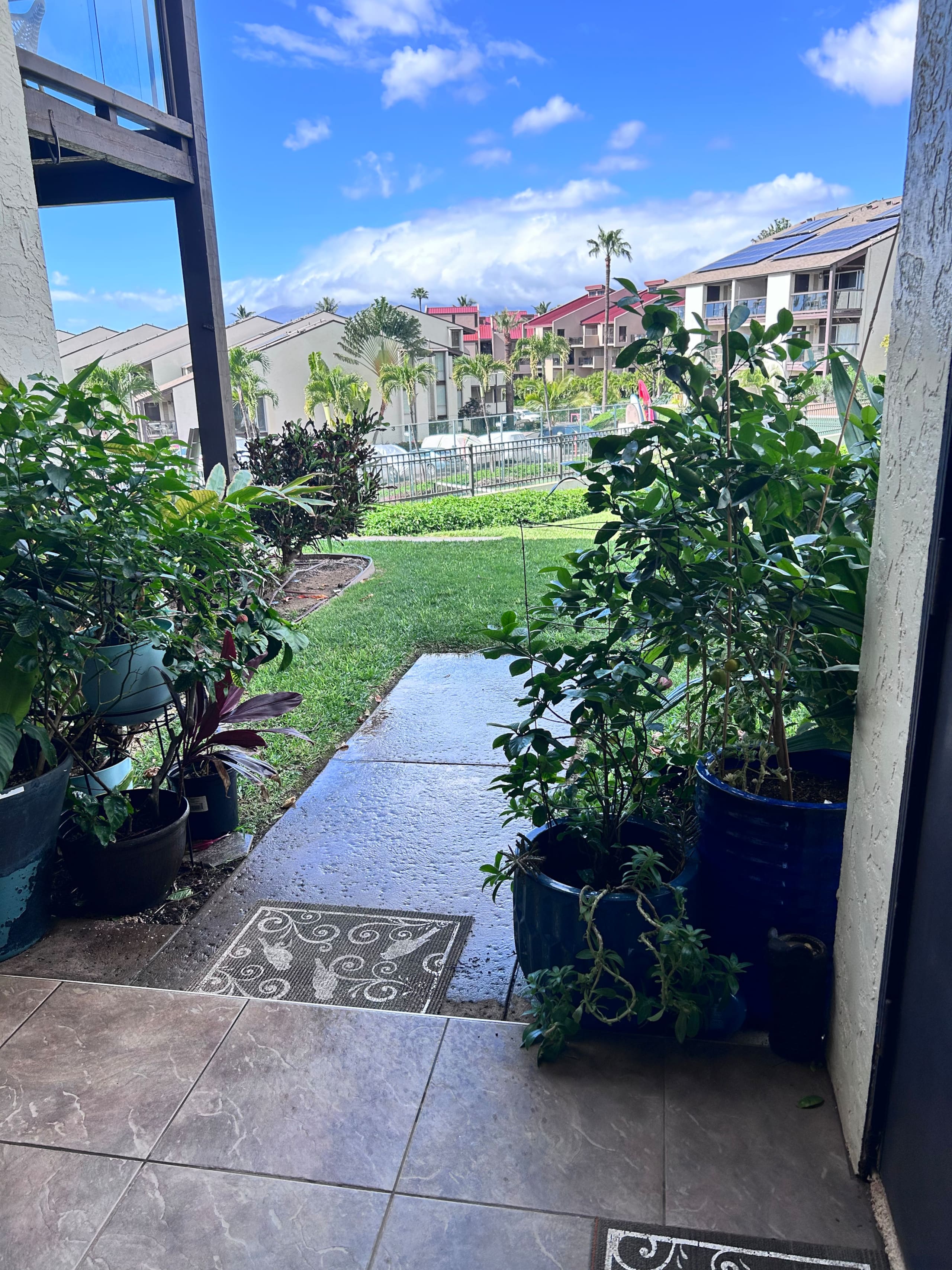 Condo in Kihei · ★5.0 · 1 bedroom · 3 beds · 1 bath - Image 21