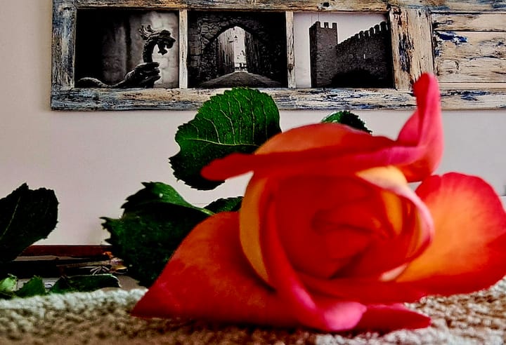 Quarto 1