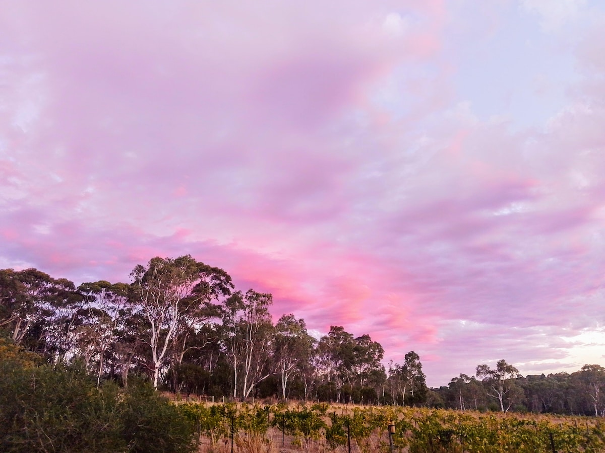 Mill About Vineyard
