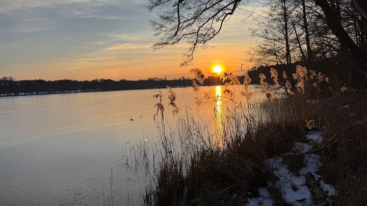 Häuschen Im Wald Nah Am See Mit Sauna Und Ruhe - Grünheide (Mark)