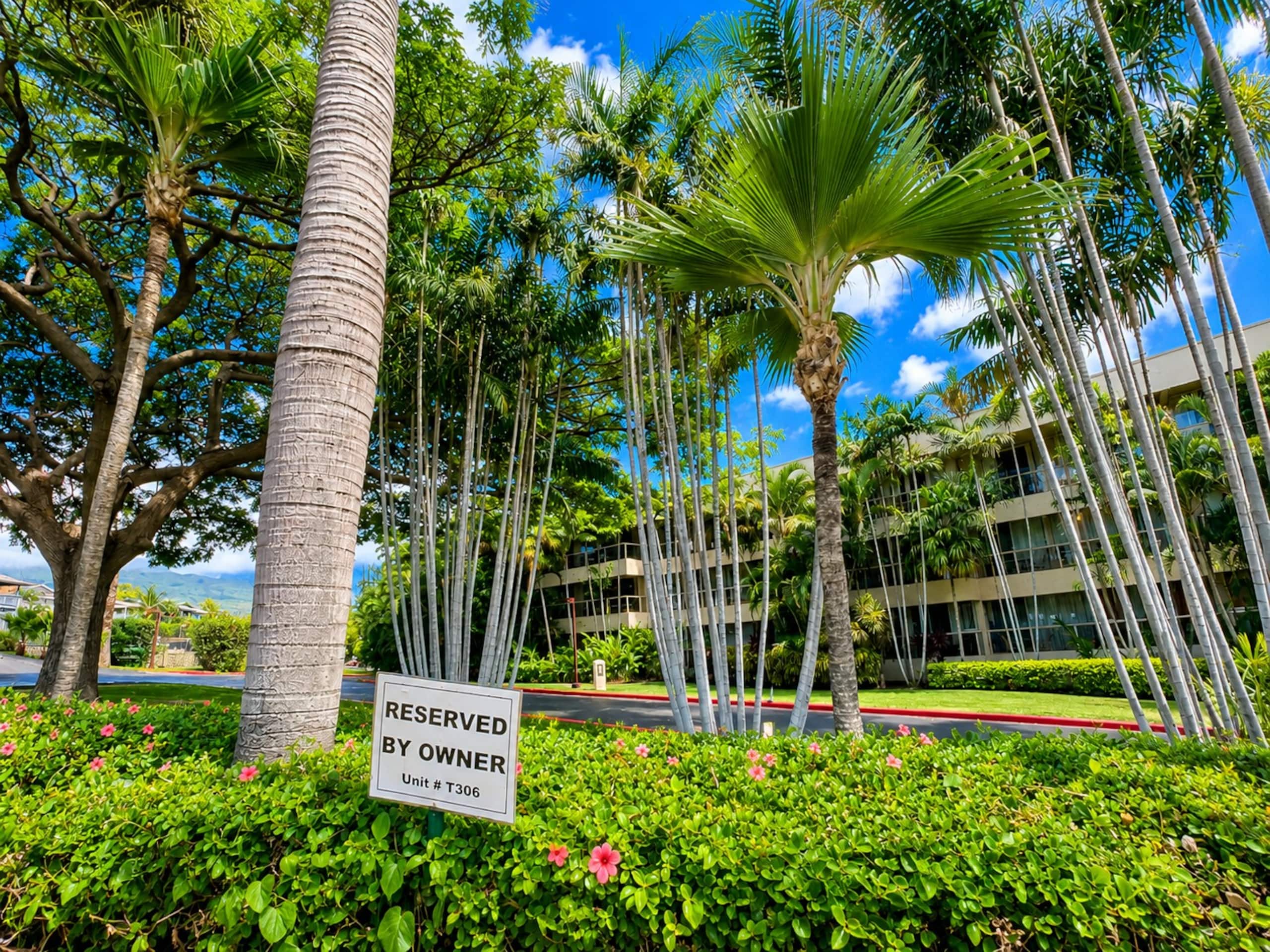 Condo in Kihei · ★4.72 · 3 bedrooms · 5 beds · 3 baths - Image 44