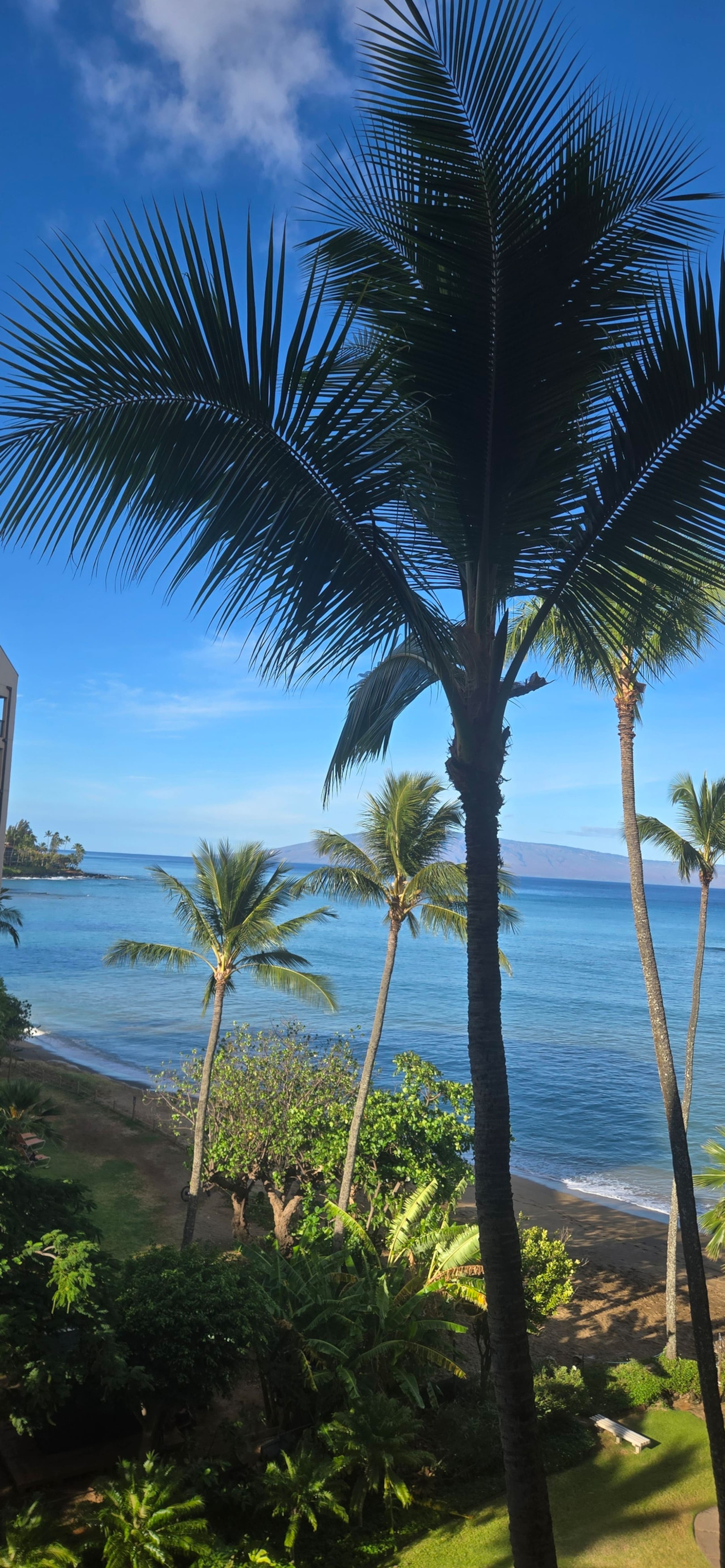 Condo in Lahaina · ★4.95 · 1 bedroom · 2 beds · 1 bath - Image 19