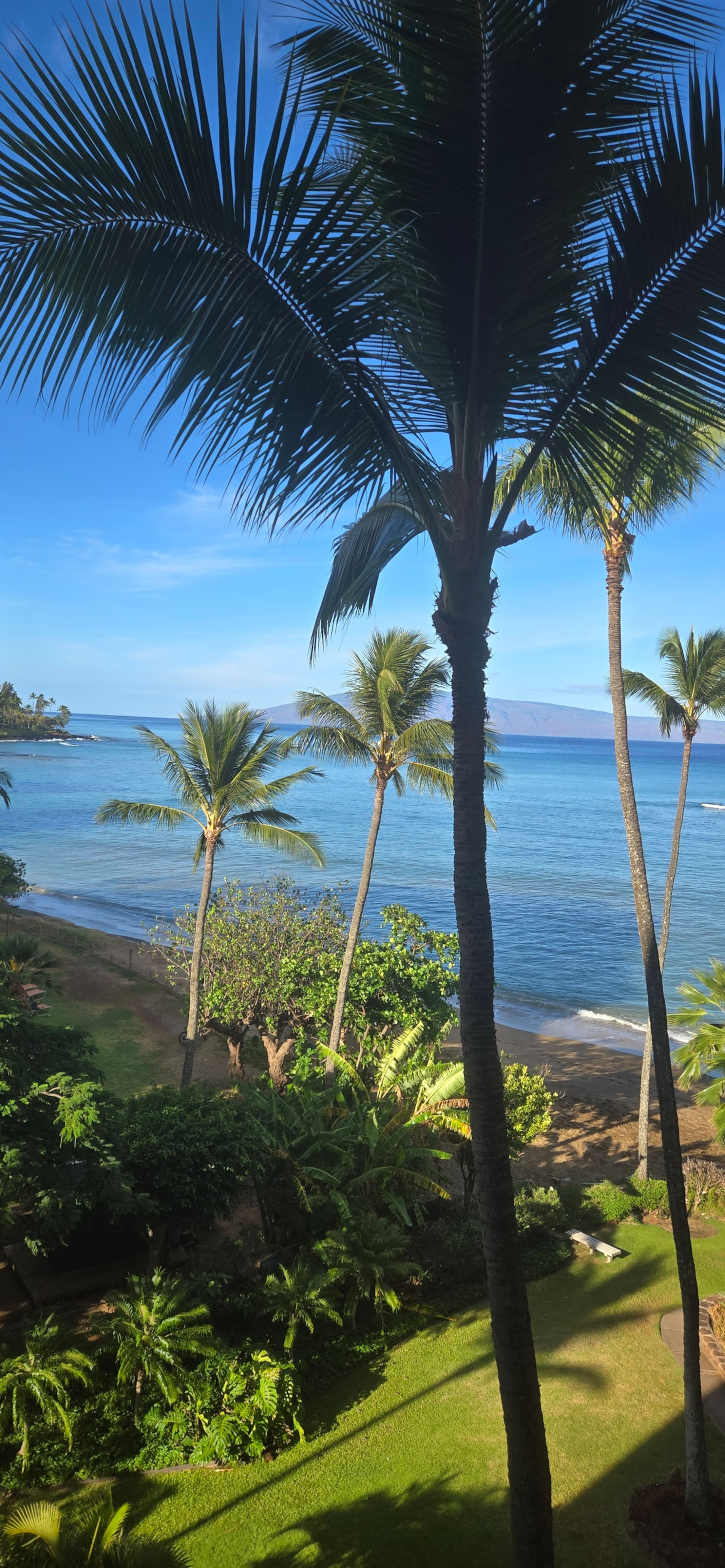 Condo in Lahaina · ★4.95 · 1 bedroom · 2 beds · 1 bath - Image 18