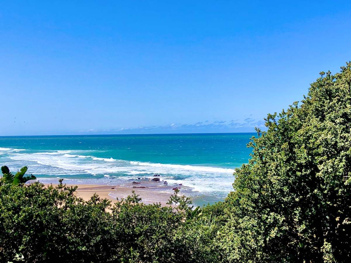 COCOVIEW BEACH HOUSE - Houses for Rent in Southbroom, KwaZulu-Natal, South  Africa - Airbnb