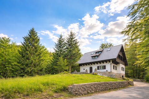 Lake Bohinj - Luxury Hunting Lodge, 5 bedrooms