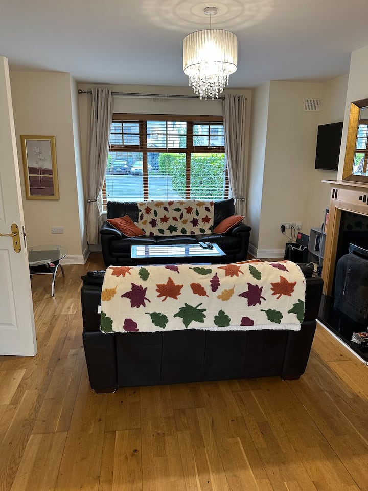 Home Near The River Shannon - Irlanti