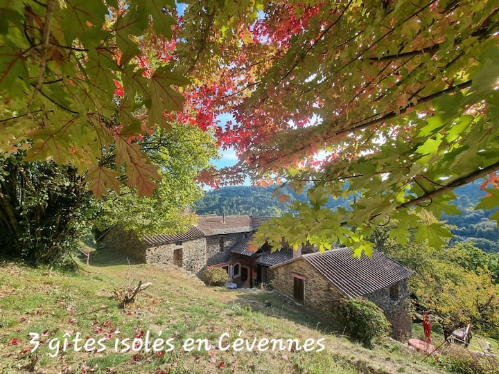 3 Gîtes Isolés En Cevennes - Saint-Jean-du-Gard