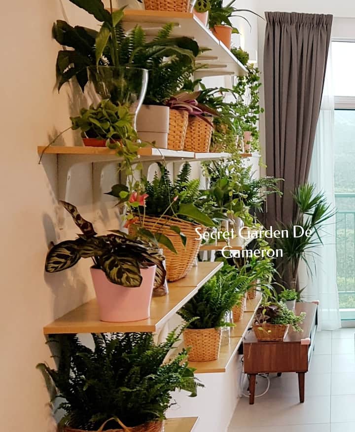 მისაღები ოთახი