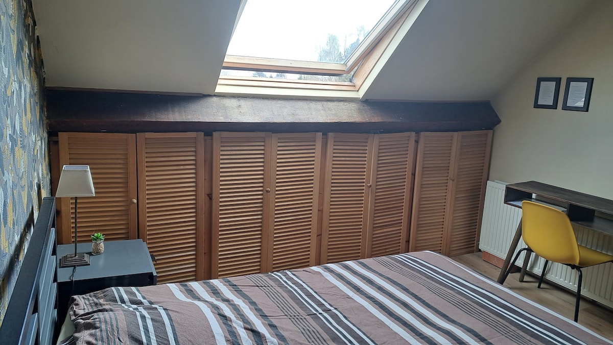 A spacious bedroom features a skylight that allows natural light to illuminate the area. Storage cabinets run along one wall, complementing a neatly made bed with a striped blanket. A desk with a chair is positioned nearby, providing a functional workspace.