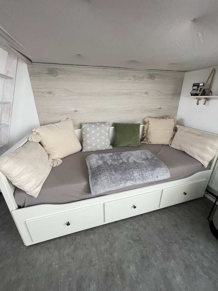 The pull-out sofa bed in the living room (80/160 cm)