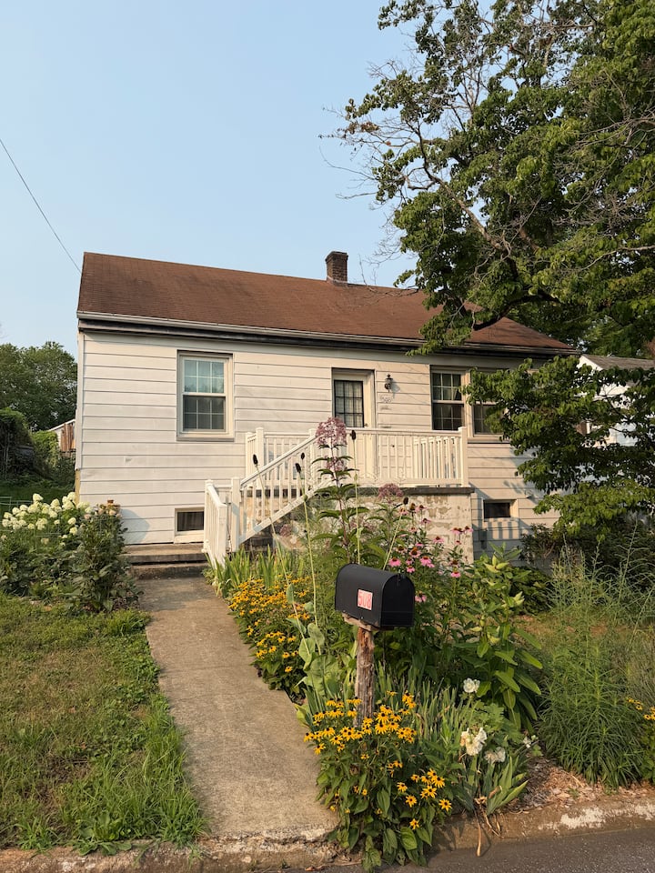 Sunny 3 Bedroom Belmont Home, Pet Friendly! - Charlottesville, VA