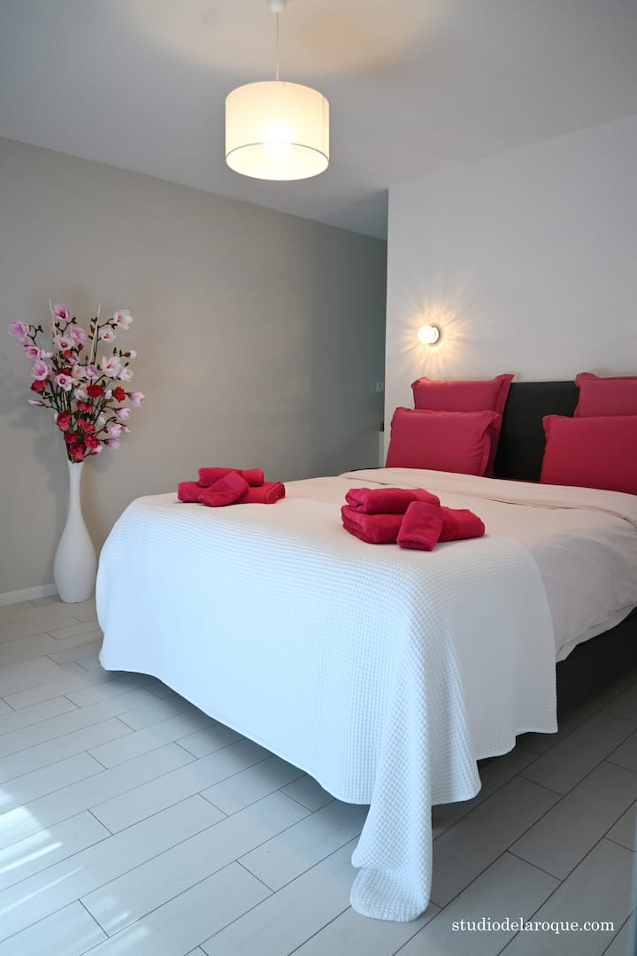 主卧套房位于一楼，配备160x200双人床及其卫生间。