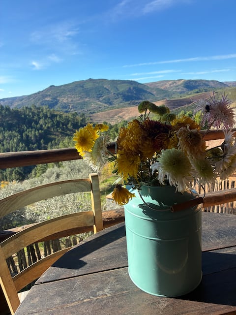 House of Figs, fantastic views