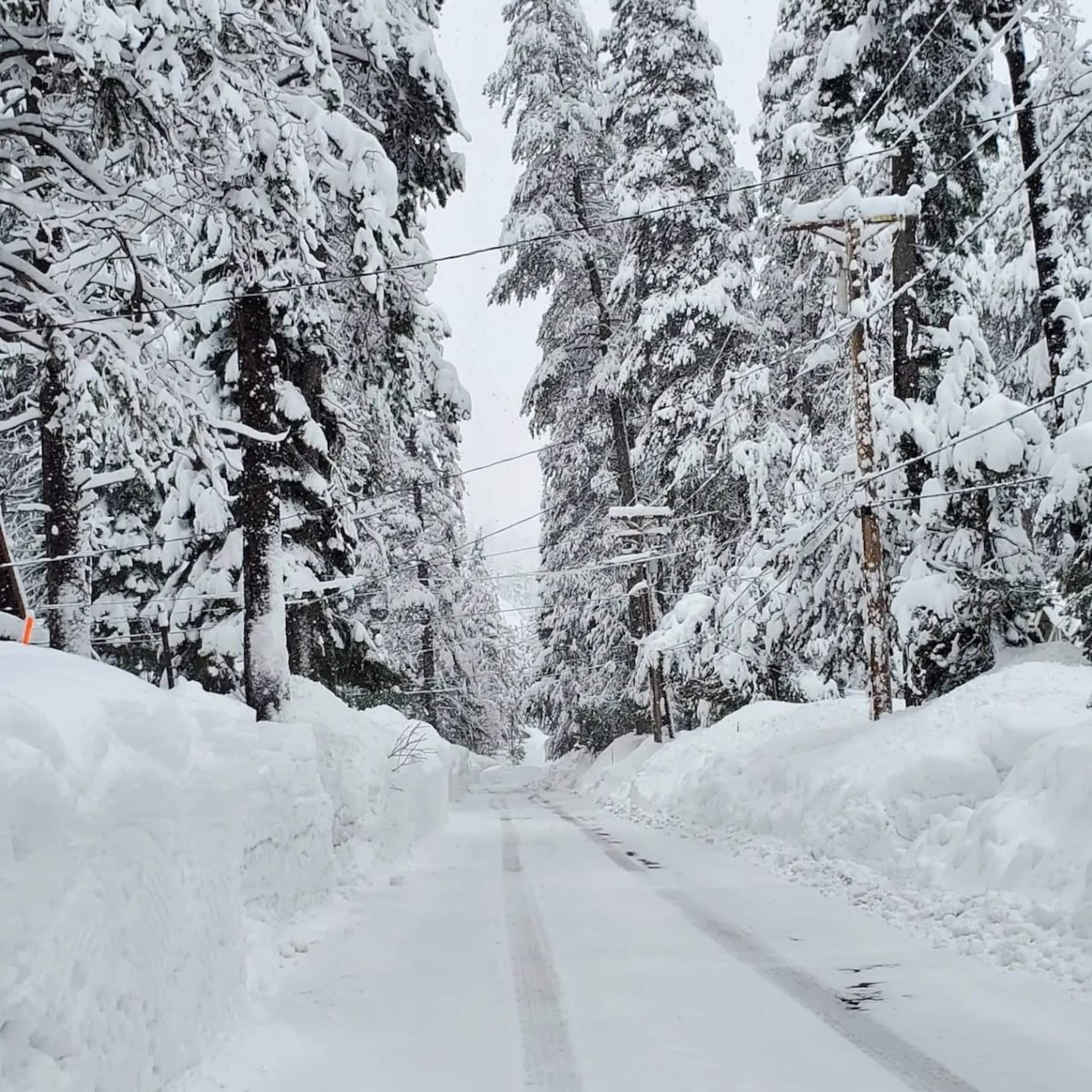 Cozy Log Cabin Near Donner Lake & Skiing - Photo 14
