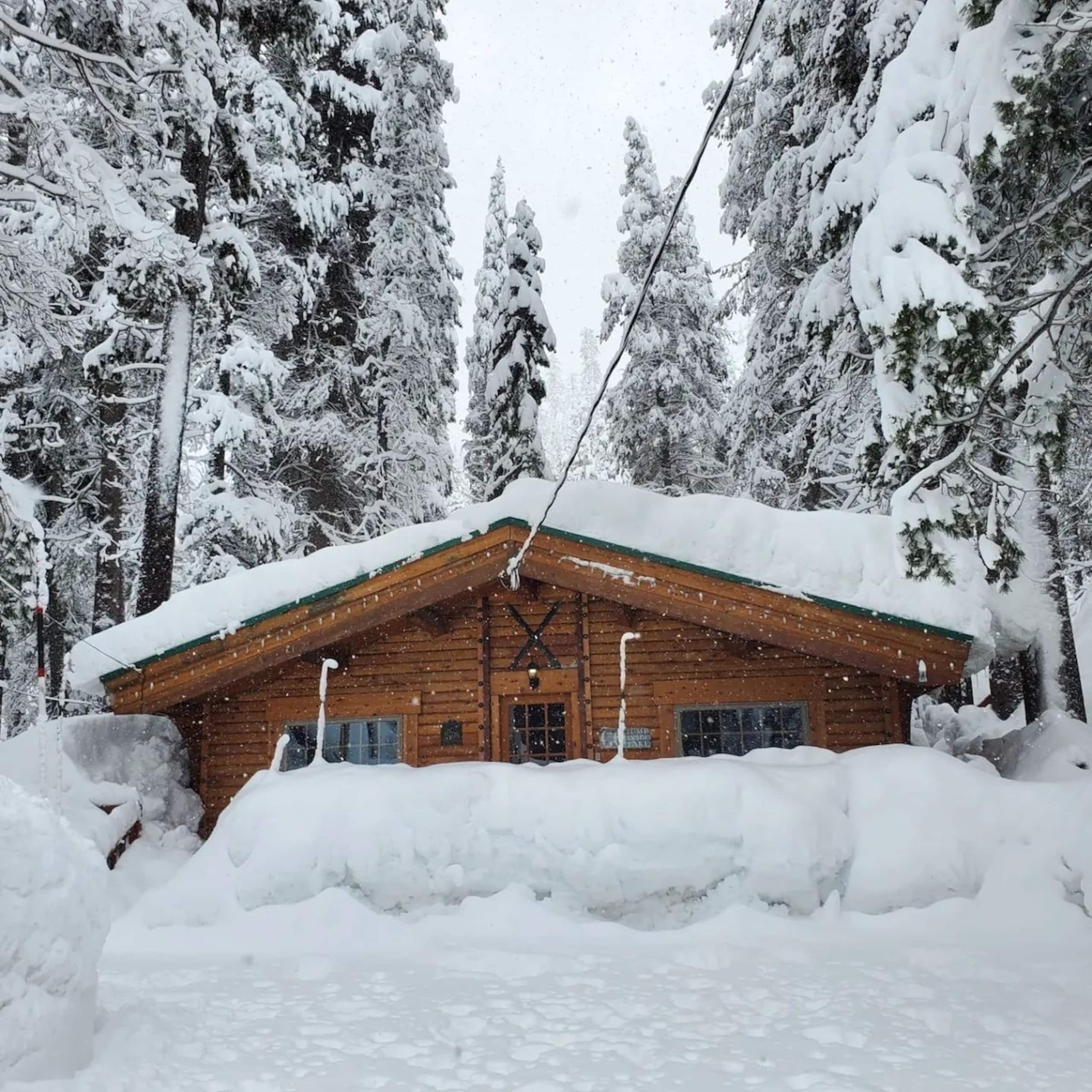 Cozy Log Cabin Near Donner Lake & Skiing - Photo 17