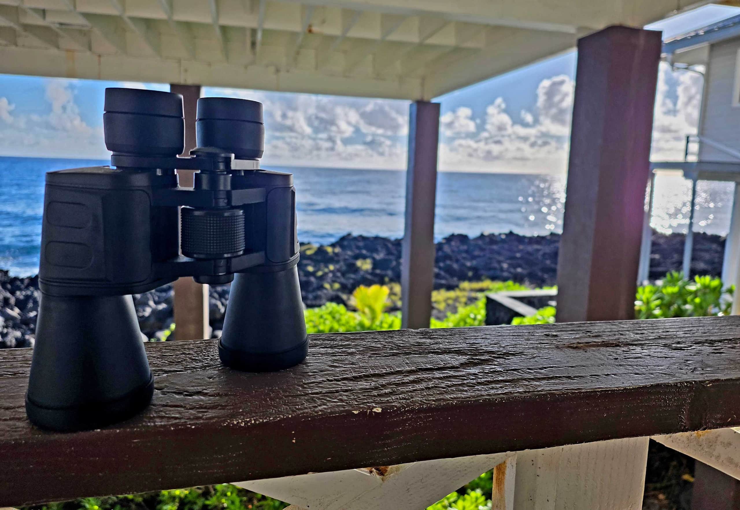 Oceanfront studio see whales and dolphins - Photo 17