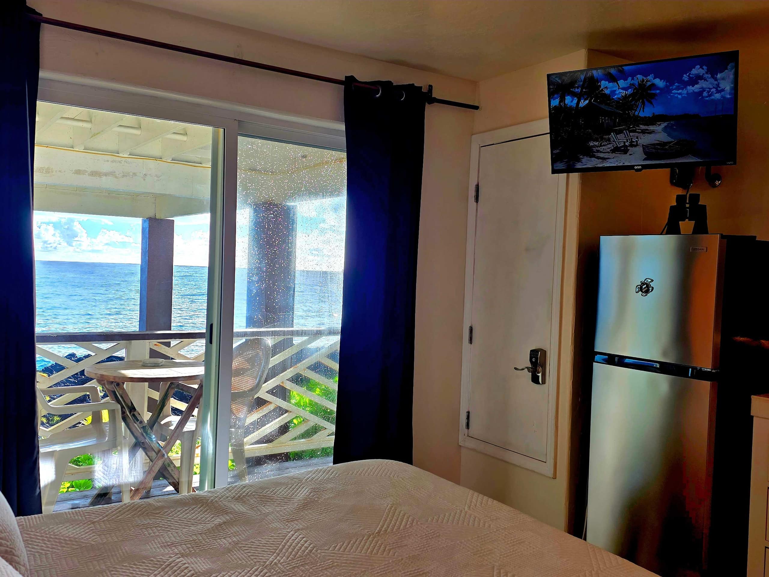 Oceanfront studio see whales and dolphins - Photo 12