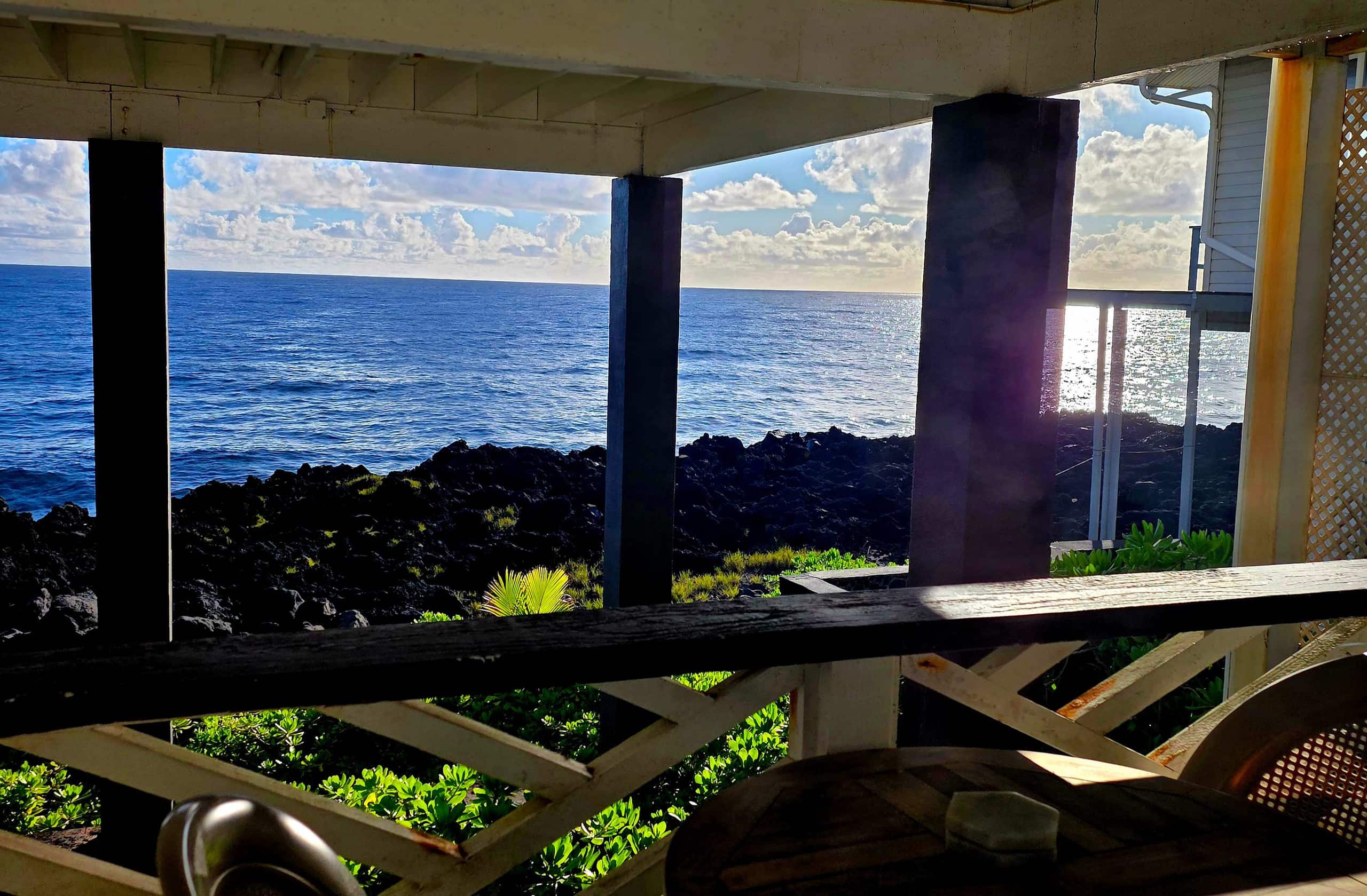 Oceanfront studio see whales and dolphins - Photo 18