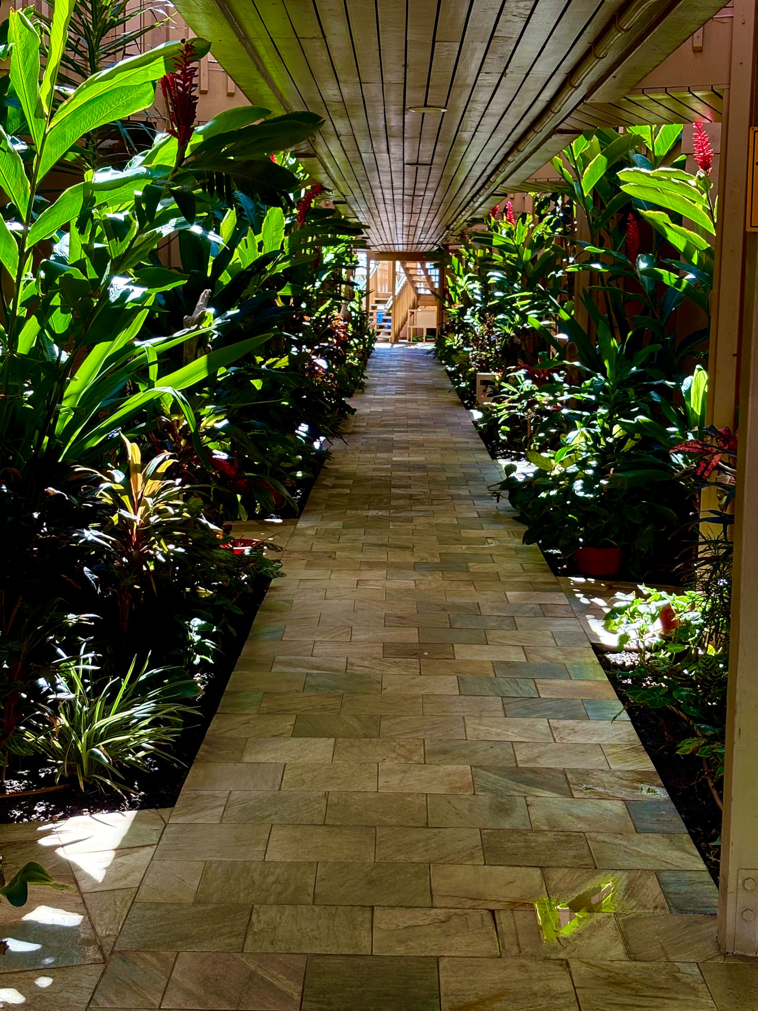 Condo in Kihei · ★4.98 · 1 bedroom · 1 bed · 1 bath - Image 3