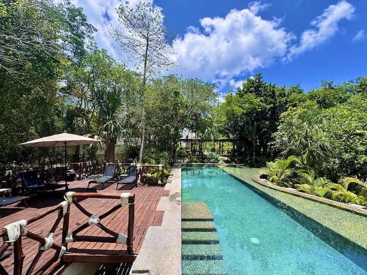 Strelitzia Studio with Cenote & Infinity Pool in Playa del Carmen,  Solidaridad, Mexico - Airbnb