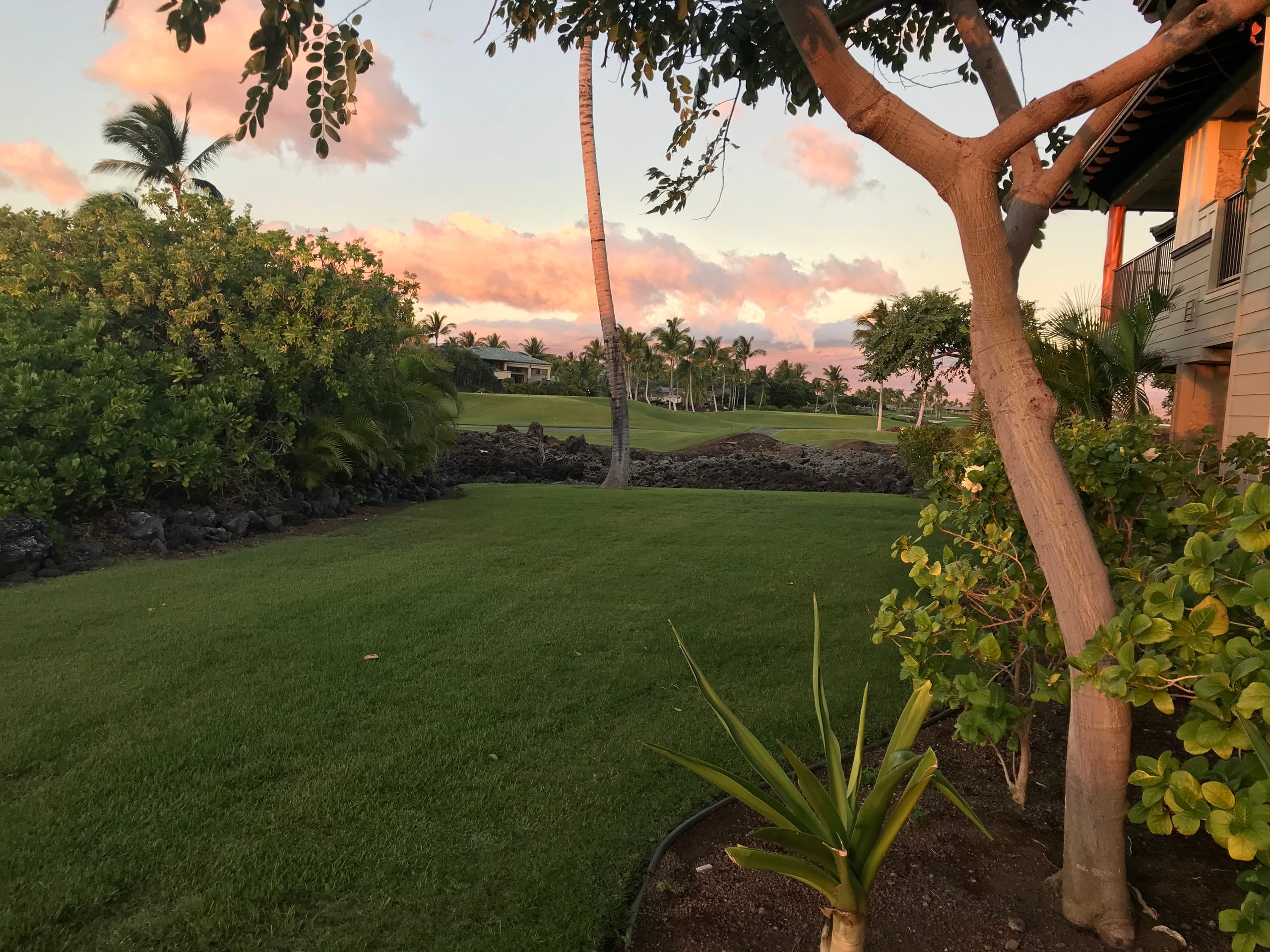 Condo in Waimea · ★4.83 · 2 bedrooms · 2 beds · 2 baths - Image 3