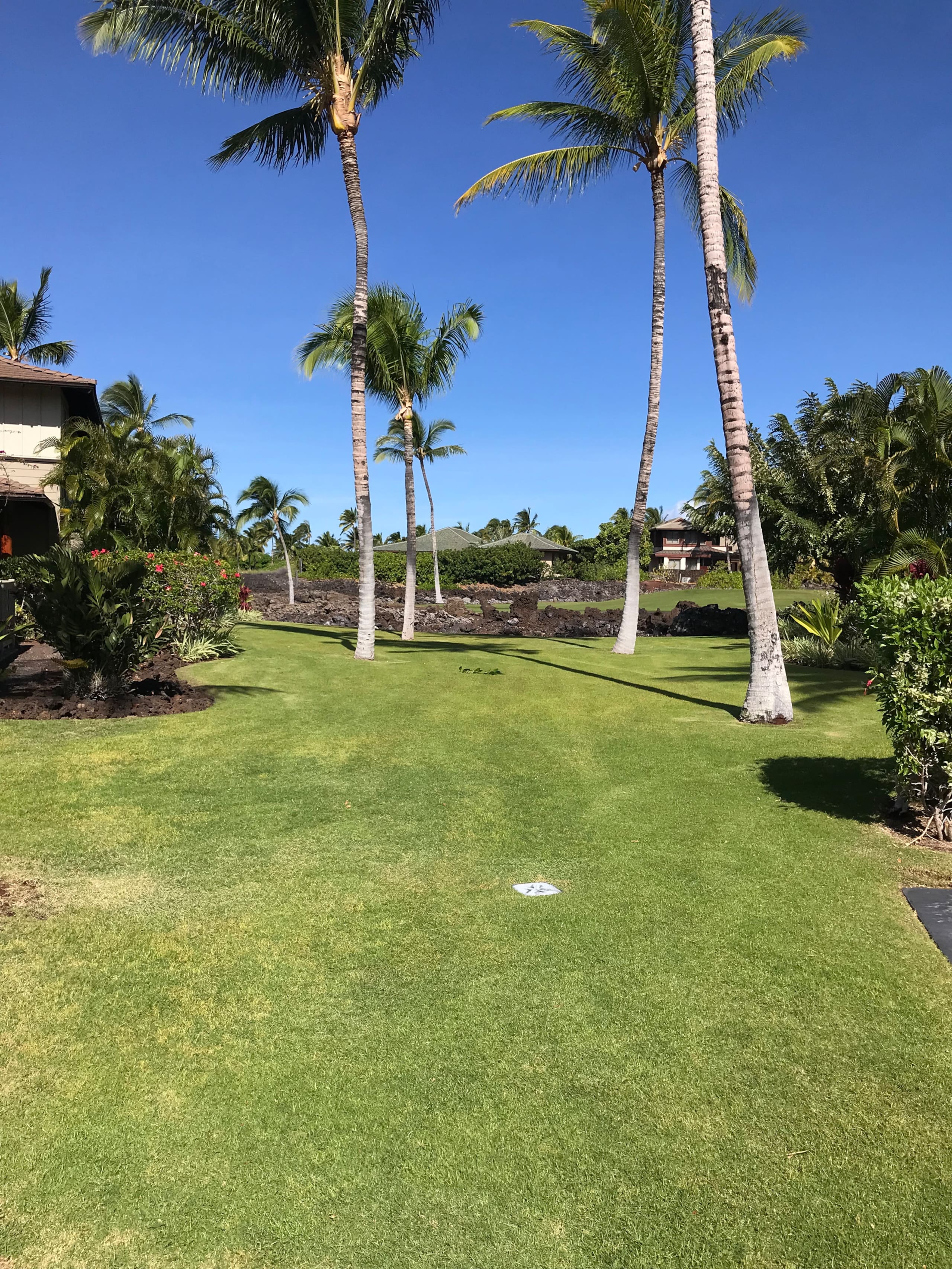 Condo in Waimea · ★4.83 · 2 bedrooms · 2 beds · 2 baths - Image 4