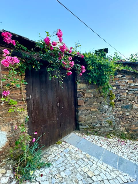 Nature Getaway: Charming Retreat in the Heights