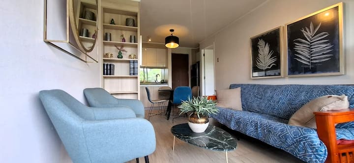Departamento A 4 Min Del Centro, Vista Al Volcán - Pucon