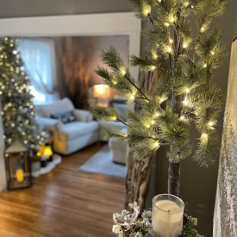 Cozy Home with LOTS of space -1 mile to ISU & IWU