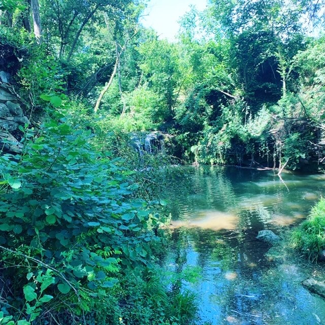 Listing image 35 at Can Manyol in Santa Pau