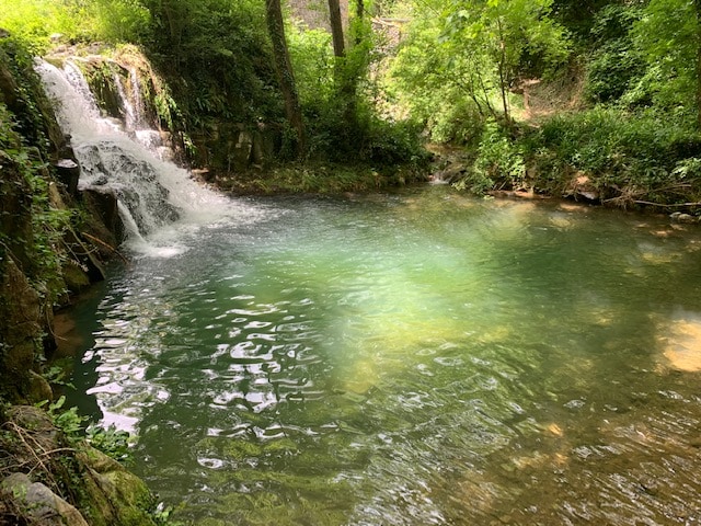 Listing image 42 at Can Manyol in Santa Pau