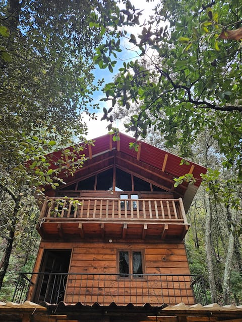 Cabin ''El Zembo'' in Huasca de Ocampo