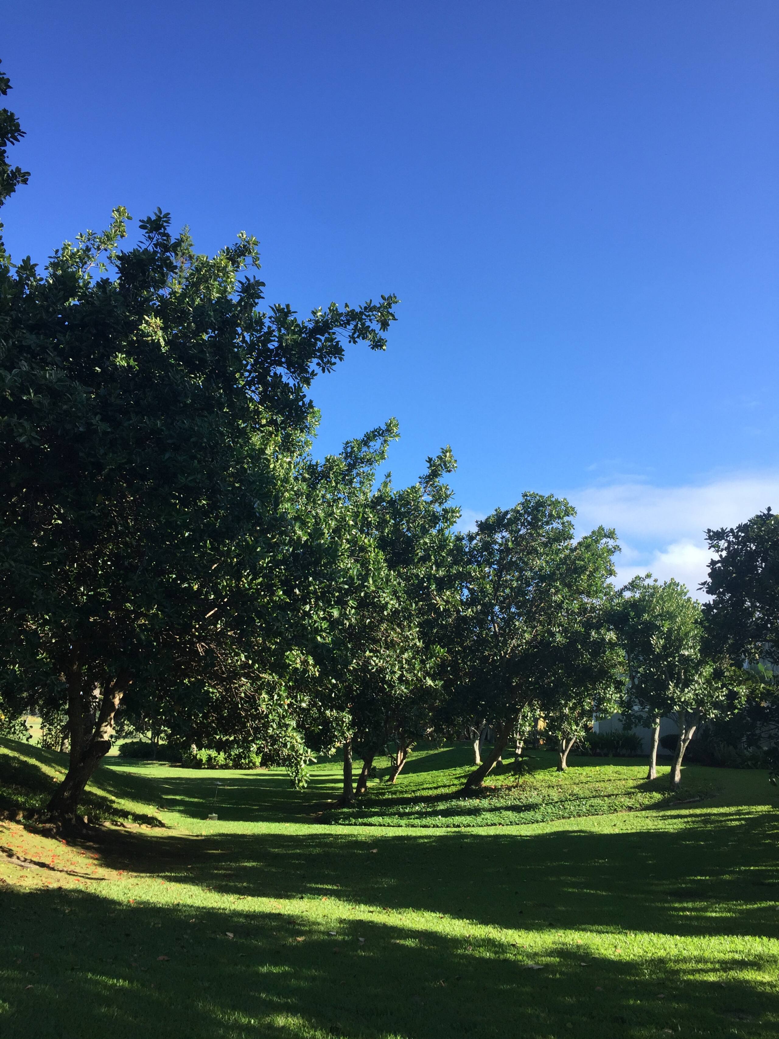 Condo in Kahuku · ★4.84 · 1 bedroom · 2 beds · 1 private bath - Image 18