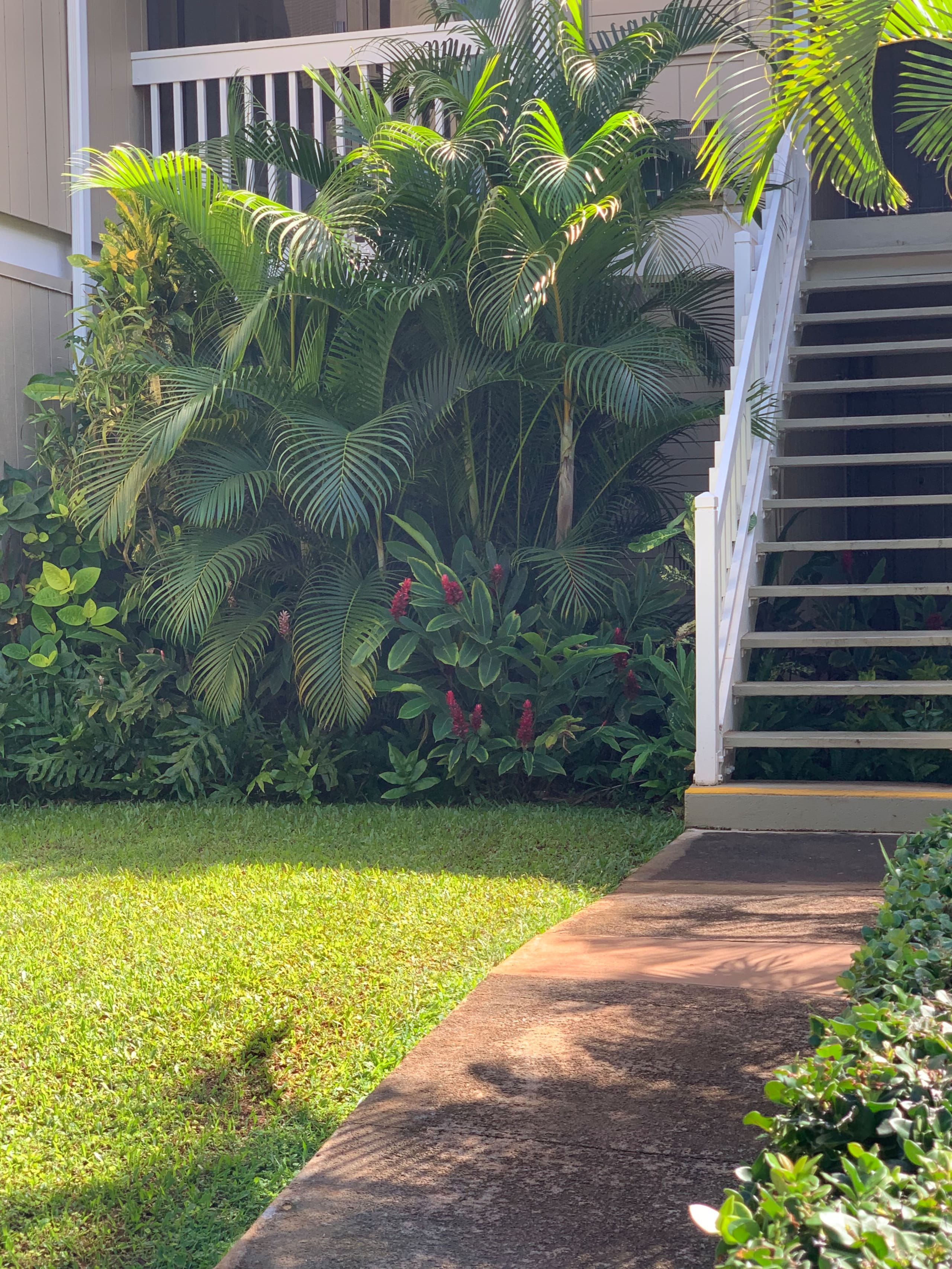 Condo in Kahuku · ★4.84 · 1 bedroom · 2 beds · 1 private bath - Image 24