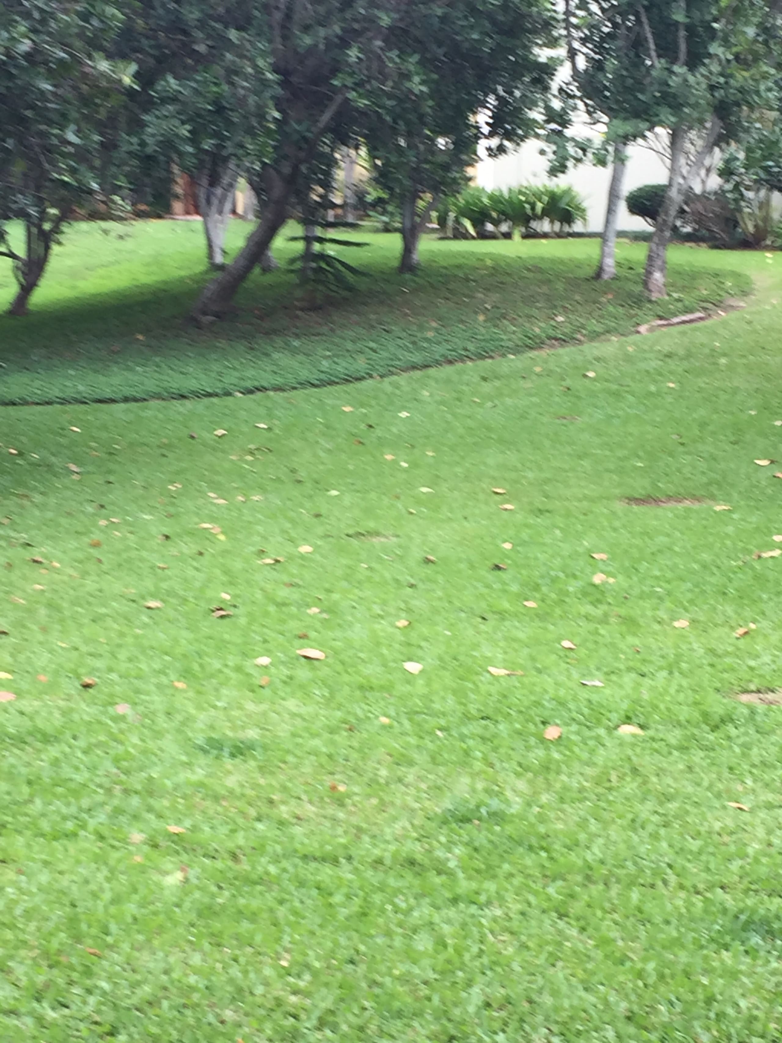 Condo in Kahuku · ★4.84 · 1 bedroom · 2 beds · 1 private bath - Image 17