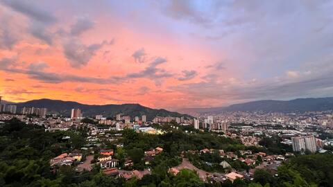 Paradise in the city