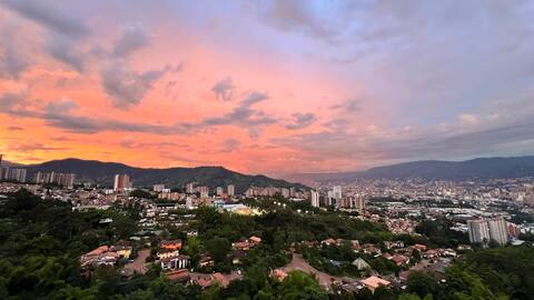 Paradise in the city