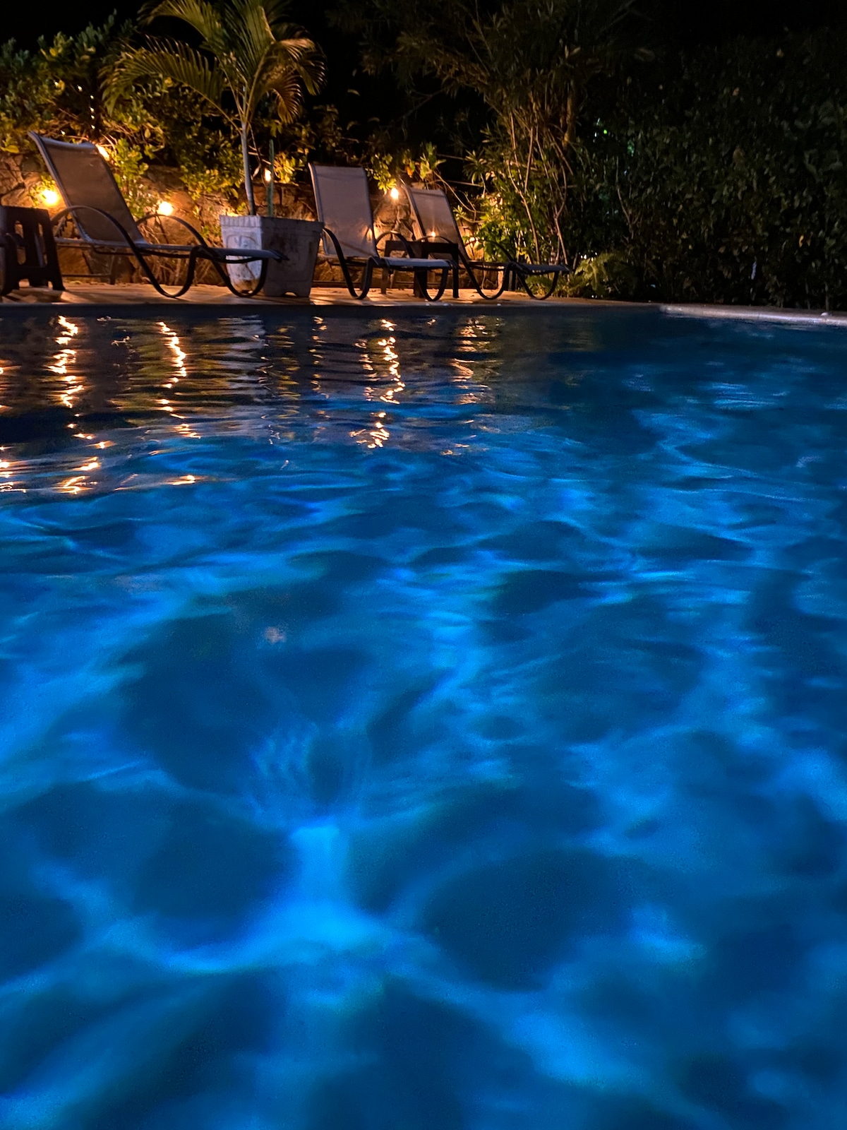 The serene swimming pool glistens under ambient lighting, reflecting soft blue tones on the water's surface. Sun loungers are positioned beside the pool, nestled among lush greenery that enhances privacy and tranquility.