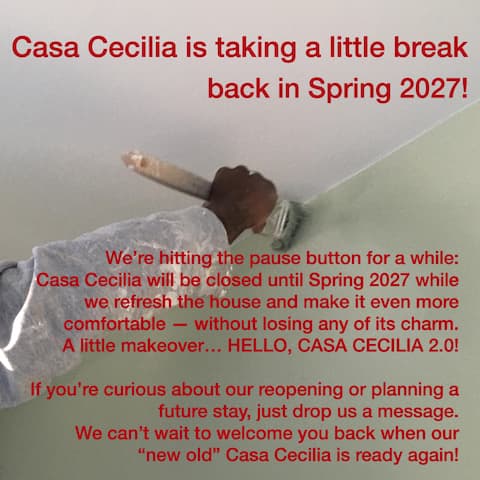 Casa Cecilia Losone, 1st floor