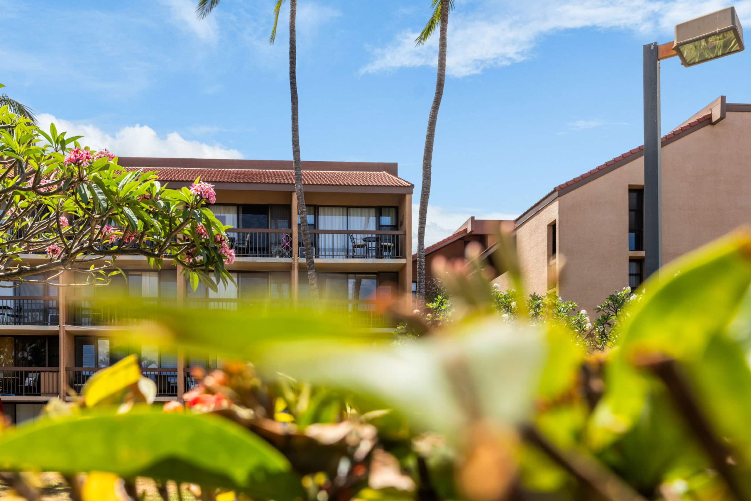 Condo in Kihei · ★4.84 · 2 bedrooms · 3 beds · 2 private baths - Image 26
