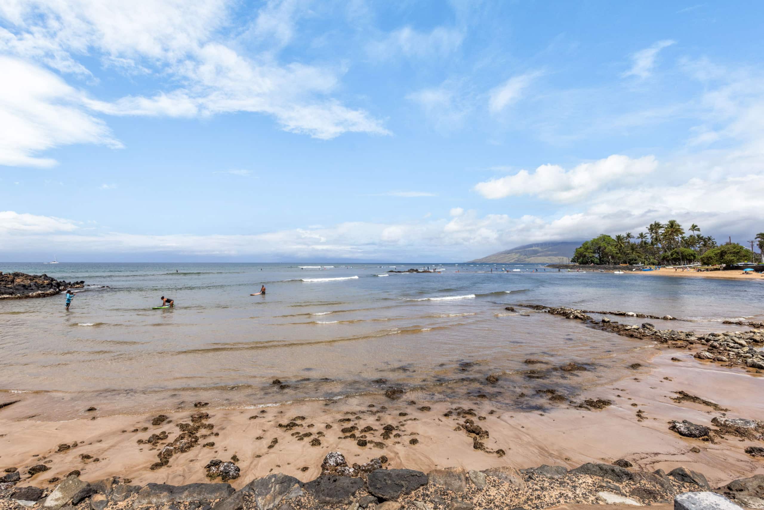 Condo in Kihei · ★4.84 · 2 bedrooms · 3 beds · 2 private baths - Image 31