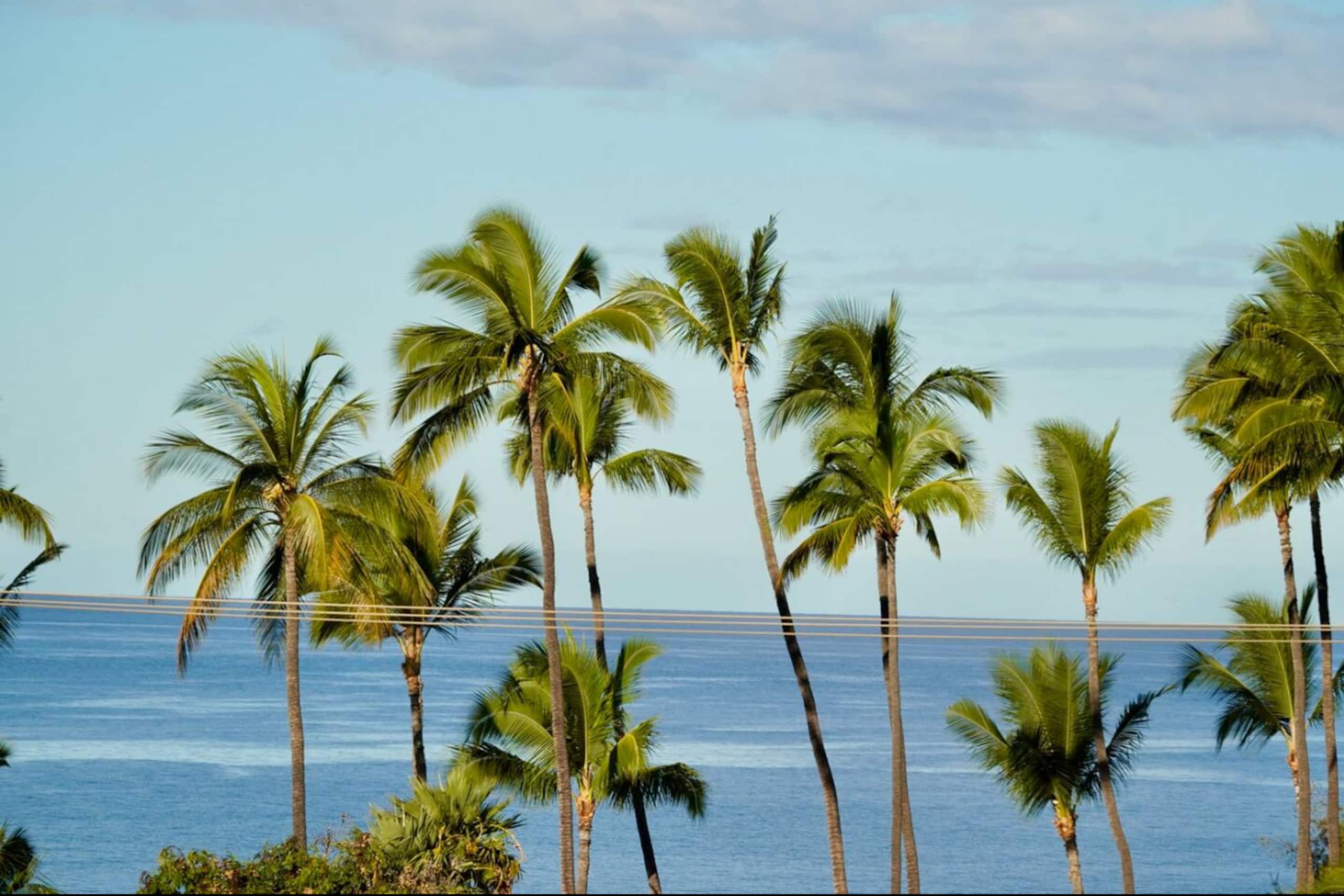 Condo in Kihei · ★4.83 · 2 bedrooms · 3 beds · 2 baths - Image 15