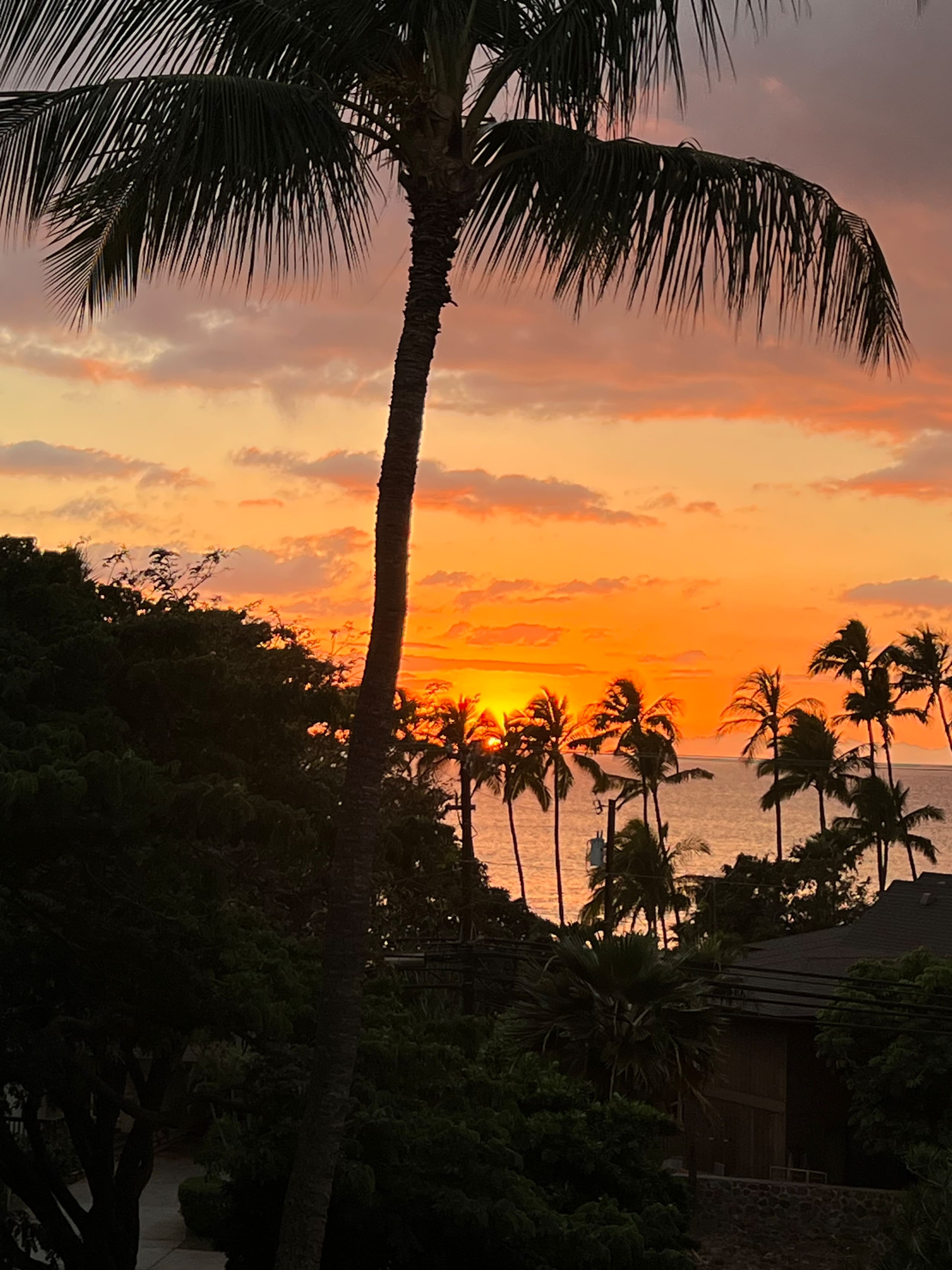 Condo in Kihei · ★4.83 · 2 bedrooms · 3 beds · 2 baths - Image 11