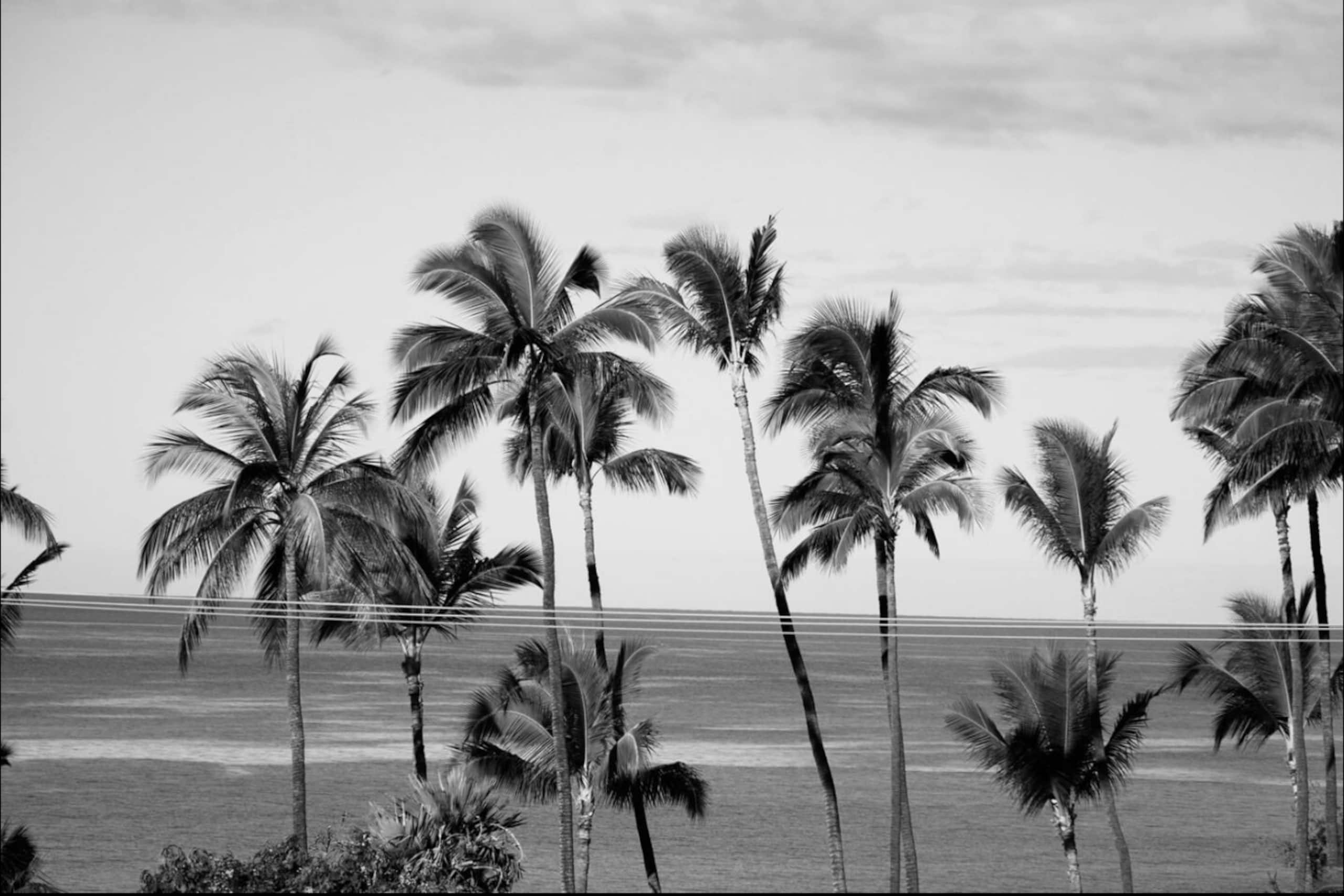 Condo in Kihei · ★4.83 · 2 bedrooms · 3 beds · 2 baths - Image 14