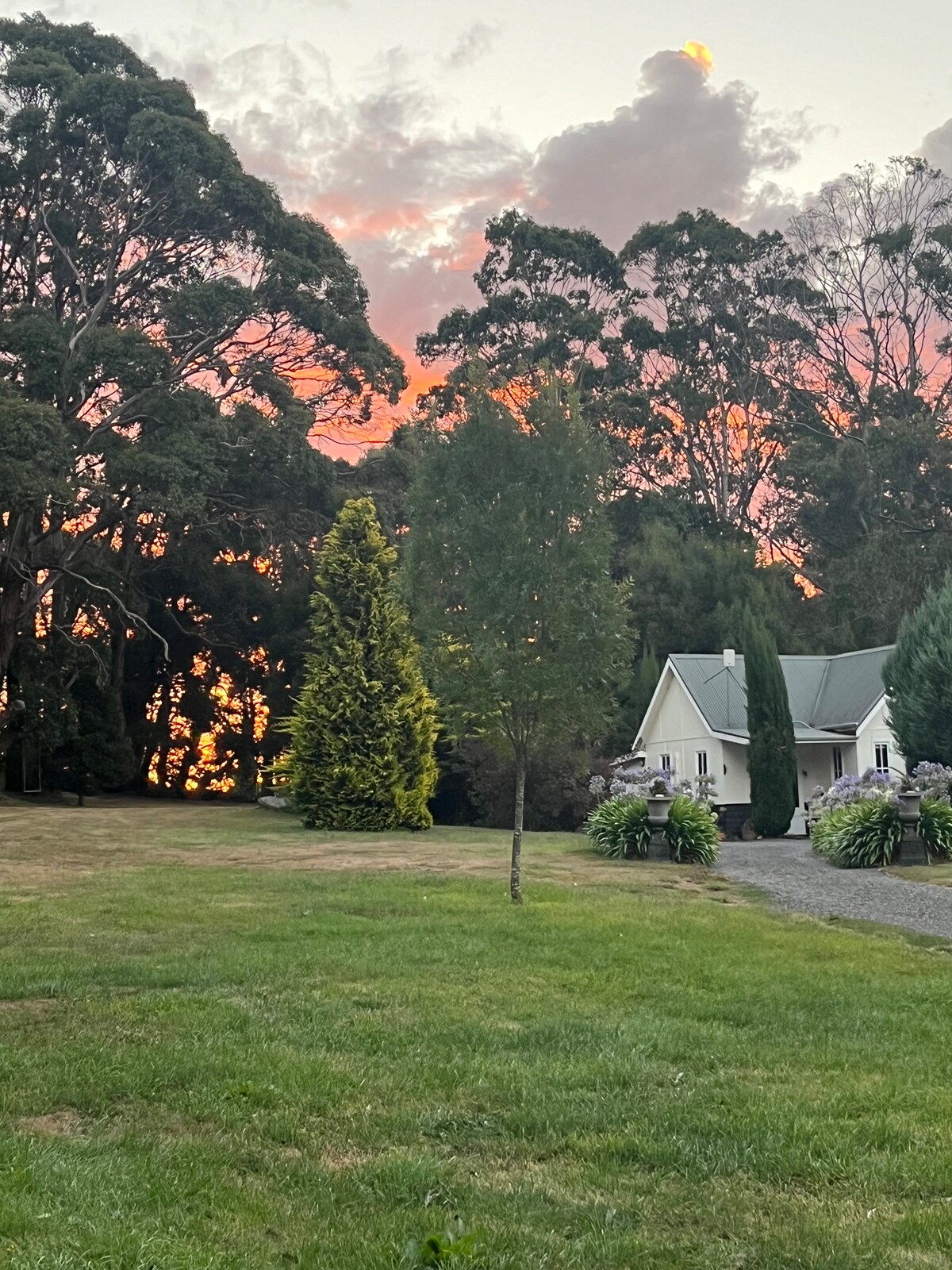 A serene landscape is depicted with the cottage nestled amid lush trees and colorful skies at sunset. Grassy areas are seen in the foreground, while vibrant foliage and a gravel pathway lead to the welcoming home.