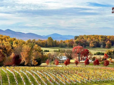 VA Wine Country Vineyard Retreat near W&L, VMI