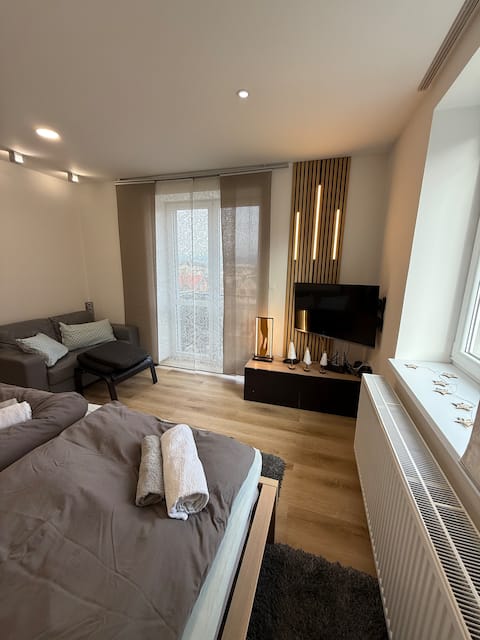 Fully equipped luxury apartment 1 room with balcony, view