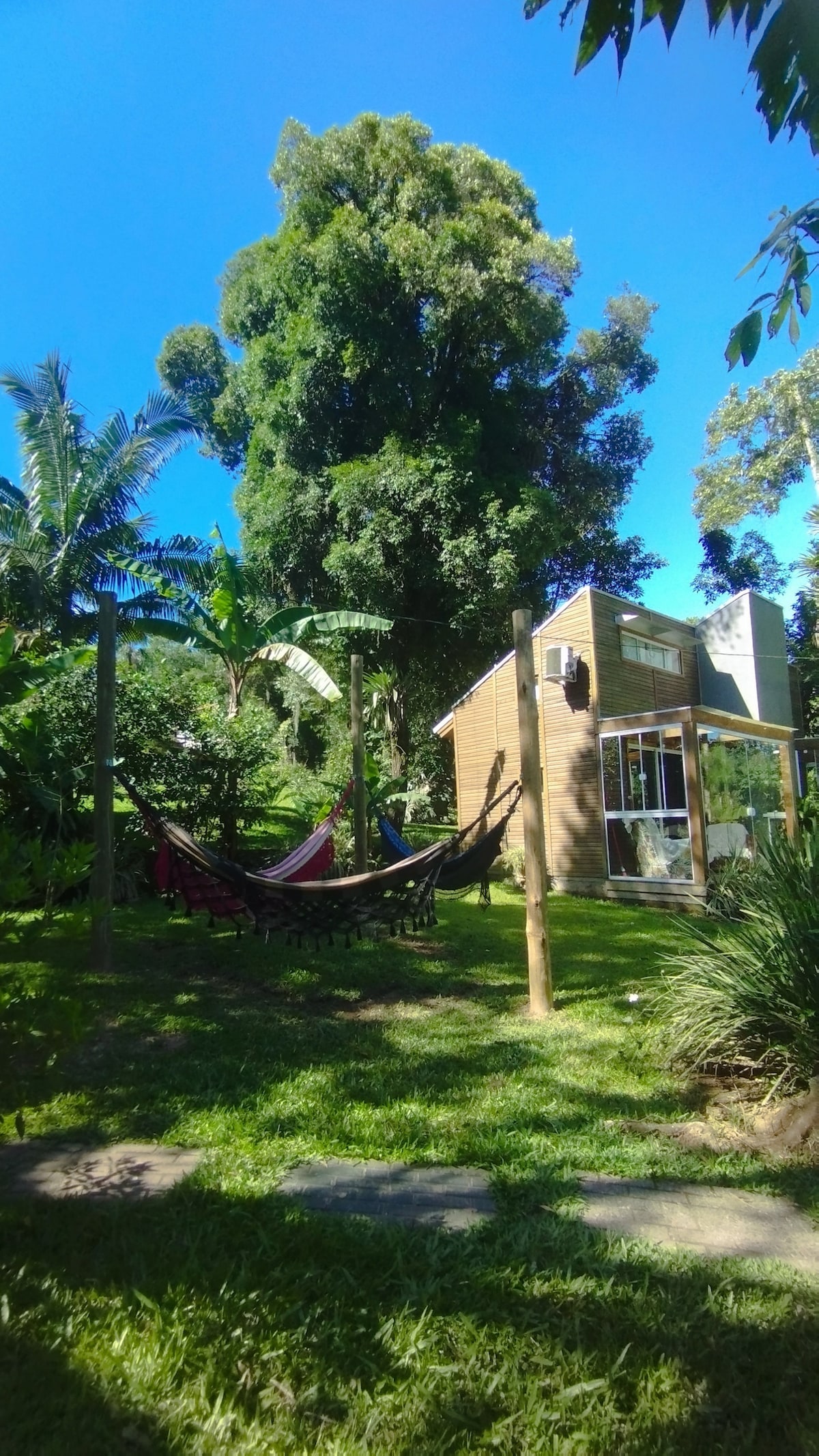 A serene garden area features several hammocks suspended between wooden posts, surrounded by lush greenery and vibrant plants. The charming tiny house stands nearby, showcasing large windows that invite natural light. Tall trees provide shade in this tranquil outdoor space.