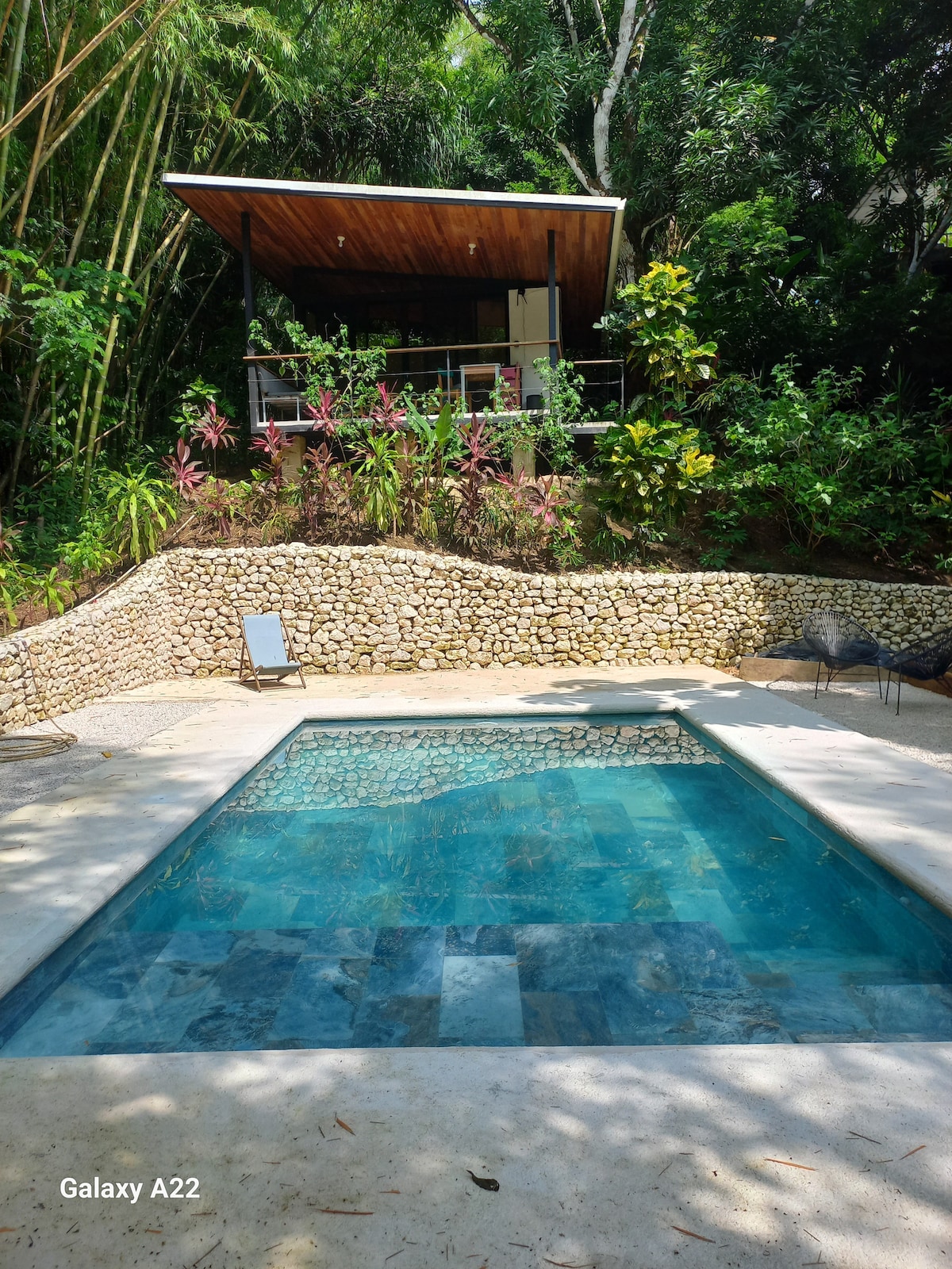 A modern studio is nestled among the lush foliage, visible through the balcony above. A serene pool with clear water reflects the surrounding greenery, while a stone wall adds texture to the landscape. Minimal outdoor seating is situated nearby, enhancing the tranquil setting.